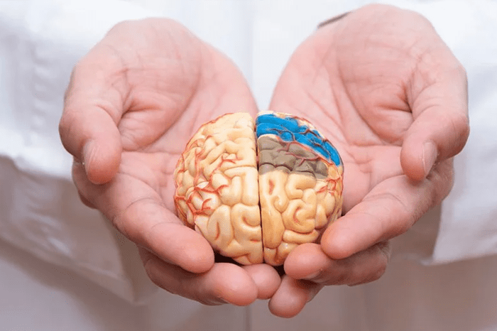 مهمترین مراحل بیماری الزایمر